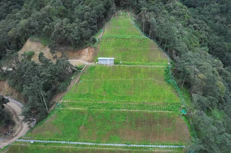 大陆槽稀土矿复绿打造
