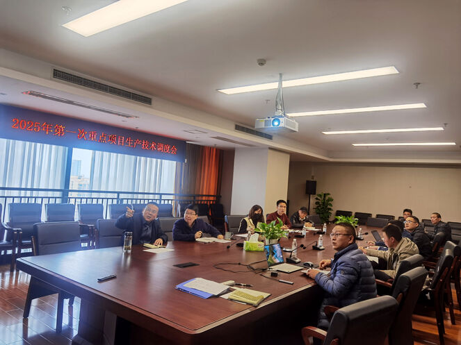 矿勘集团召开2025年第一次重点项目生产手艺调理会