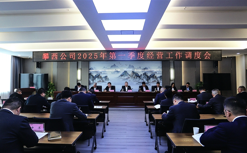 攀西公司召开2025年一季度谋划事情调理会