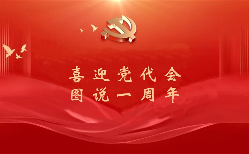 喜迎党代会 图说一周年（三）