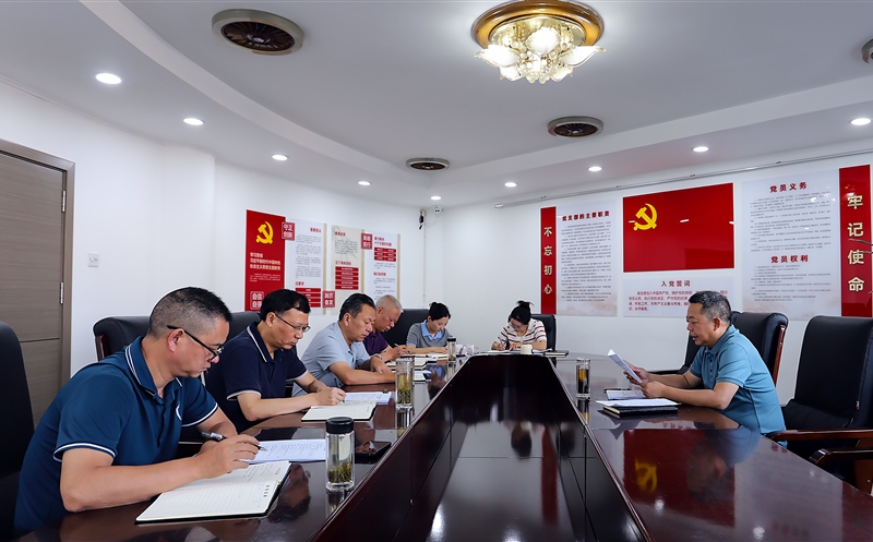 攀西公司党委转达学习集团党代会精神 安排落执行动