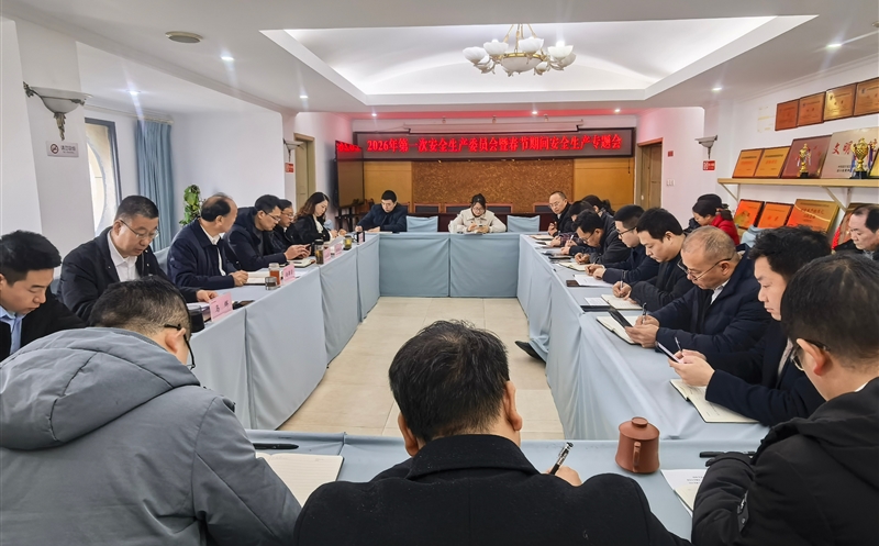 严守清静防线，，，，，平安喜迎新年——测绘公司召开2026年第一次安委会暨春节时代清静生产专题会