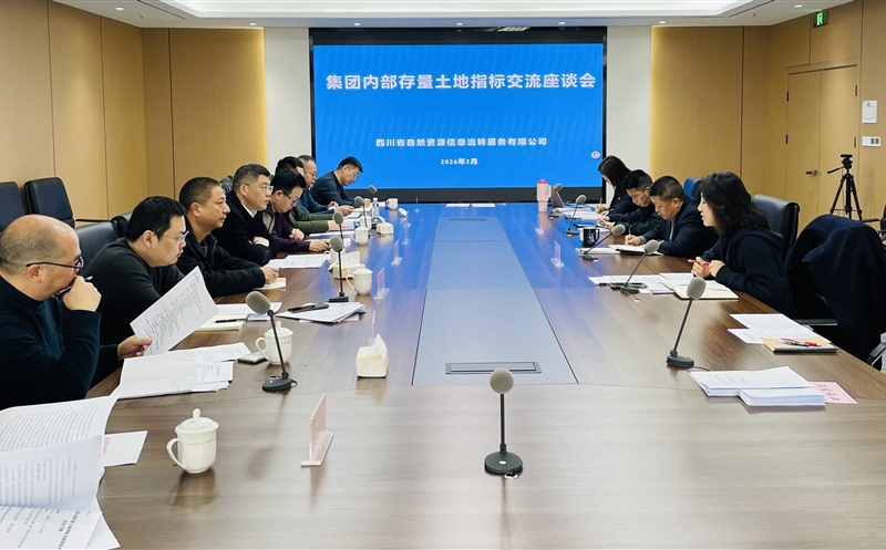 锚定战略协同，，，，激活存量价值——流转服务公司召开集团内部存量土地指标交流座谈会