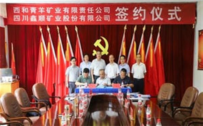 鑫顺矿业乐成控股西和青羊矿业