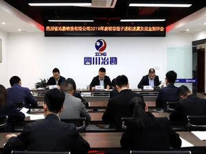 四川省冶勘物流有限公司 组织召开2019年度向导班子述职 述廉及民主测评会_协同多元工业_工业生长_拉斯维加斯3133cc有限责任公司