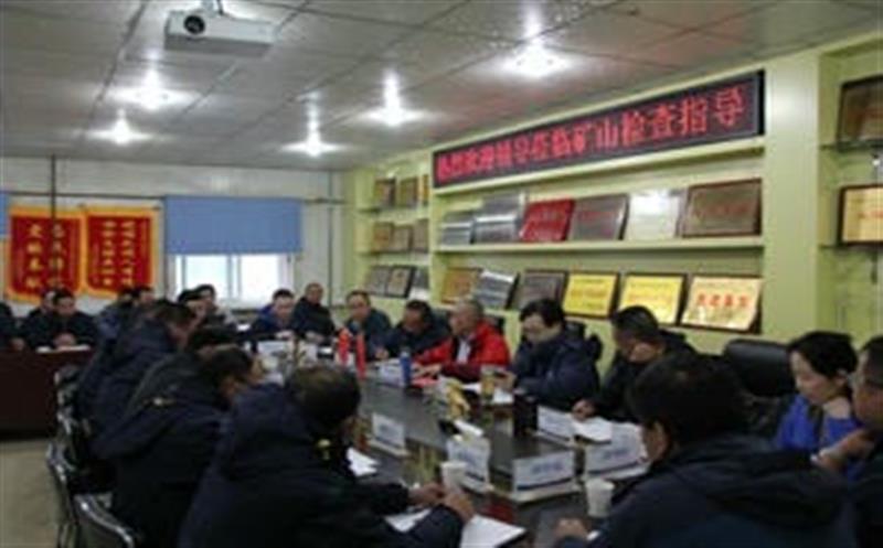 李仕荣一行到松树南沟金矿检查指导事情并考察周边拉斯维加斯3133cc情形
