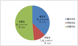 2019年度四川省冶金地质勘查局部分决算_财务预决算_信息果真_拉斯维加斯3133cc有限责任公司