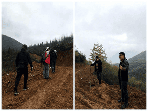 冶勘物流开展甘洛玄武岩项目深度调研论证_协同多元工业_工业生长_拉斯维加斯3133cc有限责任公司