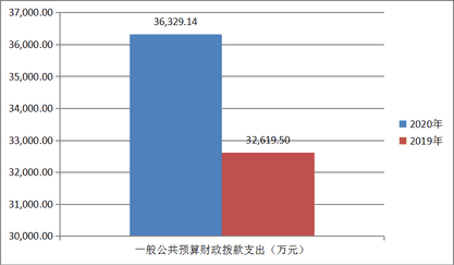 2020年度四川省冶金地质勘查局部分决算_财务预决算_信息果真_拉斯维加斯3133cc有限责任公司