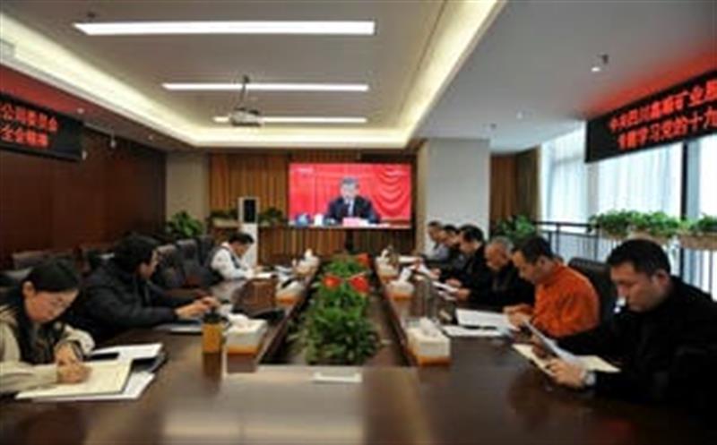 鑫顺矿业党委会专题学习党的十九届六中全会精神