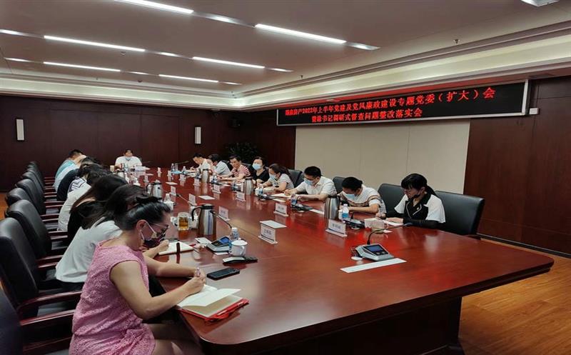 蜀鑫房产召开2022年上半年党建及党风廉政建设专题党委（扩大）会暨涂书记调研式督盘问题整改落实会