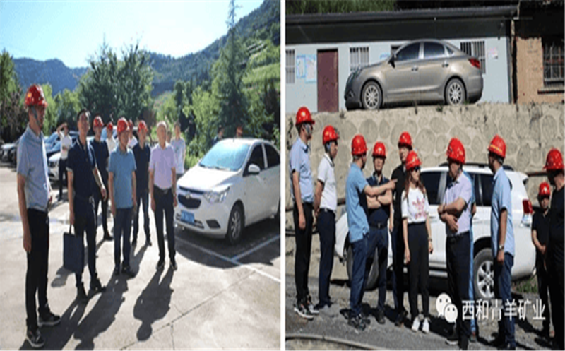 多彩青羊 大美鑫顺 鑫顺人泼墨挥毫绽青春 图画溢彩送祝福 浓墨淡彩庆祝鑫顺二十载 7月1日，，，，，，西和青羊矿业在庆祝七一建党之际，，，，，，盛大举行了鑫顺矿业建设20周年艺术作品展，，，，，，42件优异艺术作品在青羊矿业办公楼参展，，，，，，向鑫顺矿业建设20周年献礼！ 本次参展作品形式包括书法、绘画、刺绣