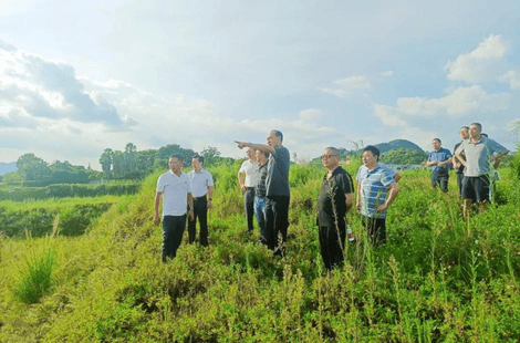 拉斯维加斯3133cc(中国集团)有限公司官网