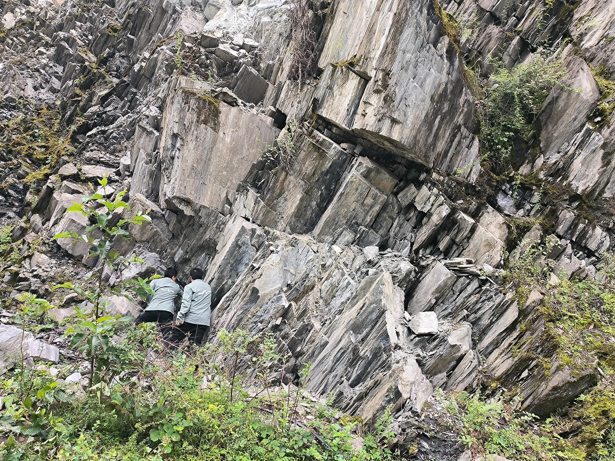 拉斯维加斯3133cc(中国集团)有限公司官网