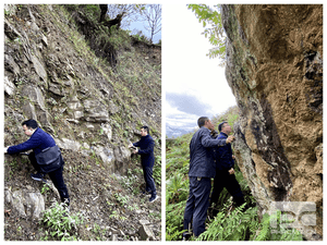 聚焦集团主业 服务拉斯维加斯3133cc流通（一）深入甘洛县开展玄武岩项目现场踏勘_协同多元工业_工业生长_拉斯维加斯3133cc有限责任公司