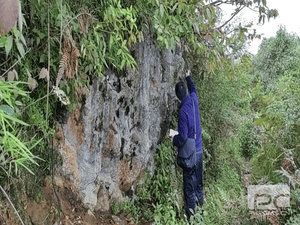 [决战四序度·大干一百天] 冶勘物流公司工会按下劳动竞赛“快车键”_协同多元工业_工业生长_拉斯维加斯3133cc有限责任公司