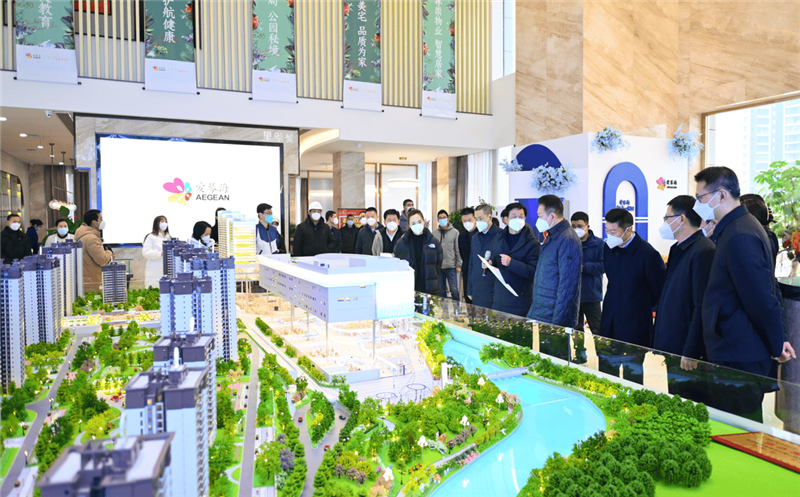 泸州市委书记杨林兴率队到众城·富贵里（爱琴海购物公园）项目调研指导事情