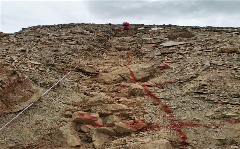 做有文化的地质找矿品牌——记地勘院西藏朗县扎龙锑多金属矿视察评价项目