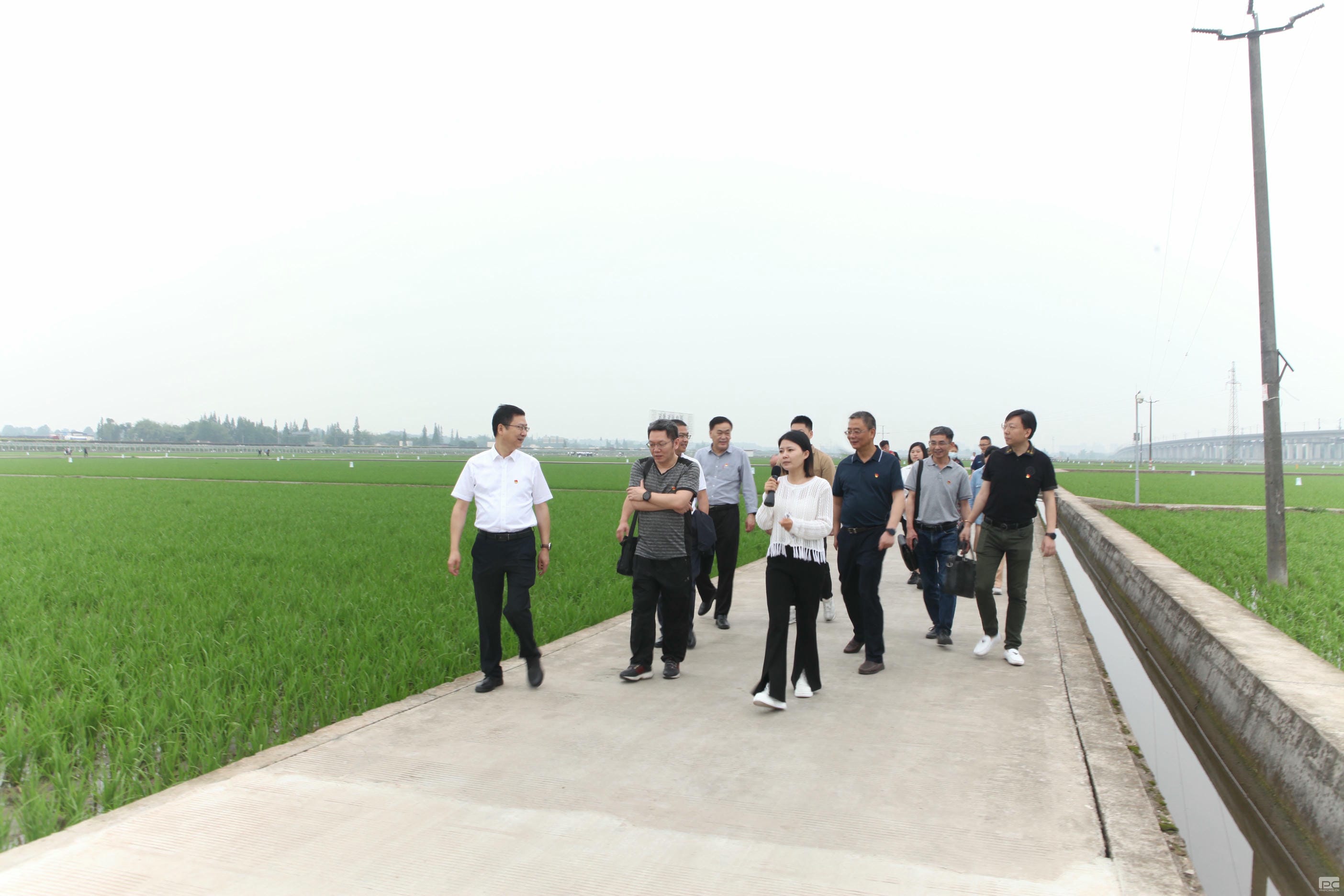 拉斯维加斯3133cc(中国集团)有限公司官网