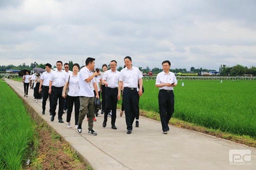 【主题教育】循足迹 学头脑 奋笃行 永传承——地矿集团赴眉山永丰村、三苏祠开展主题教育现场教学活动_专题专栏_拉斯维加斯3133cc有限责任公司