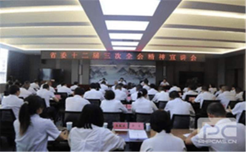 集团党委委员、总工程师李仕荣赴攀西地区调研指导事情