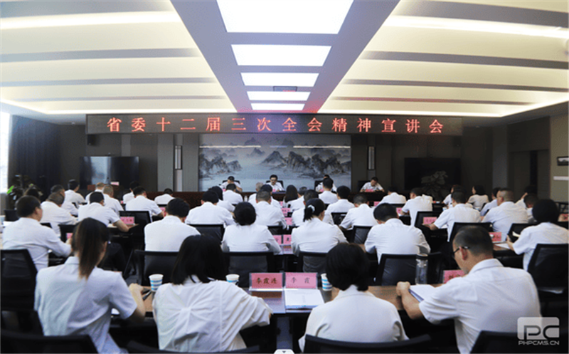 集团党委委员、总工程师李仕荣赴攀西地区调研指导事情