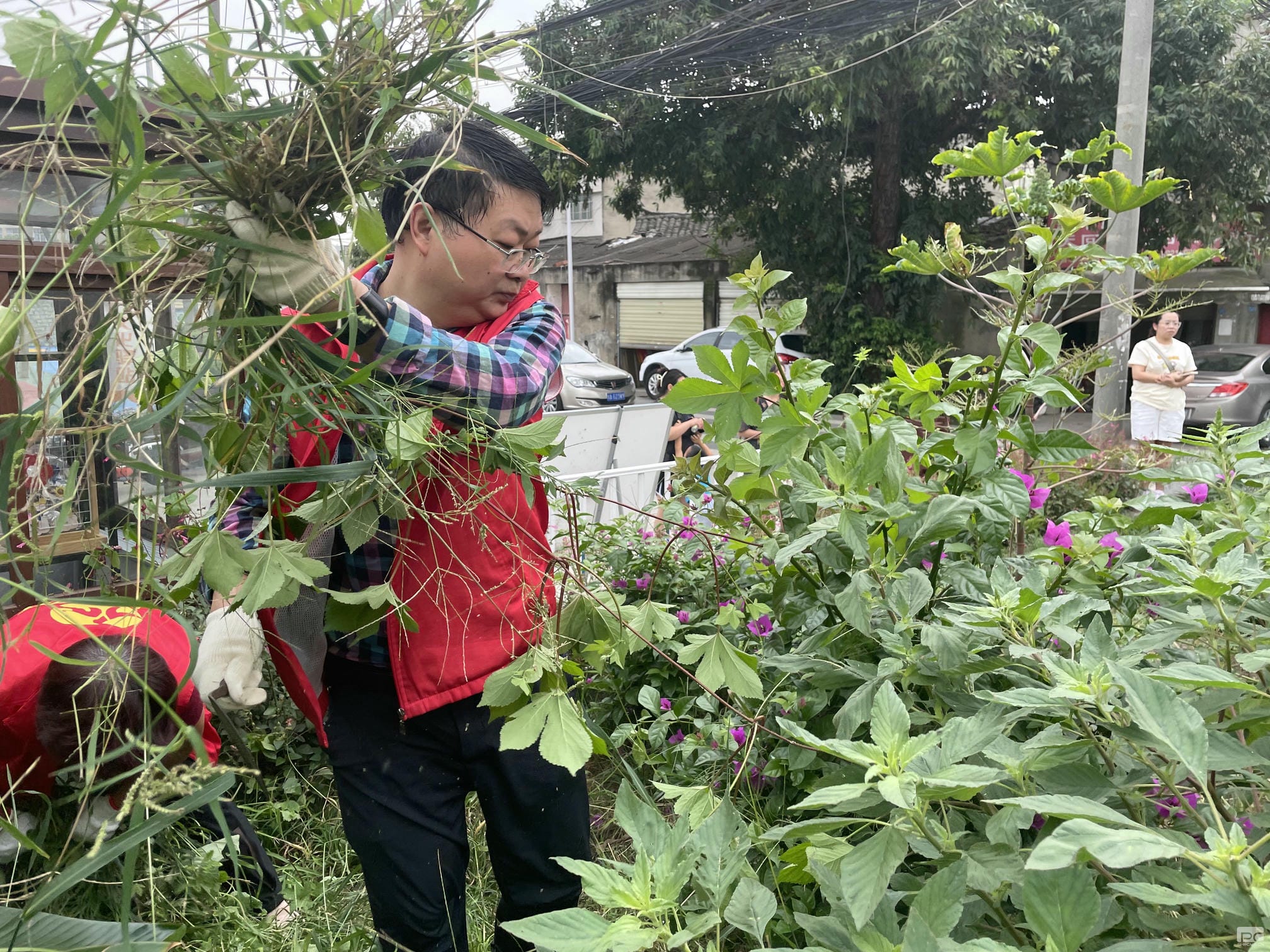 成都探矿加入土门社区微绿地维护自愿活动_下层动态_新闻中心_拉斯维加斯3133cc有限责任公司