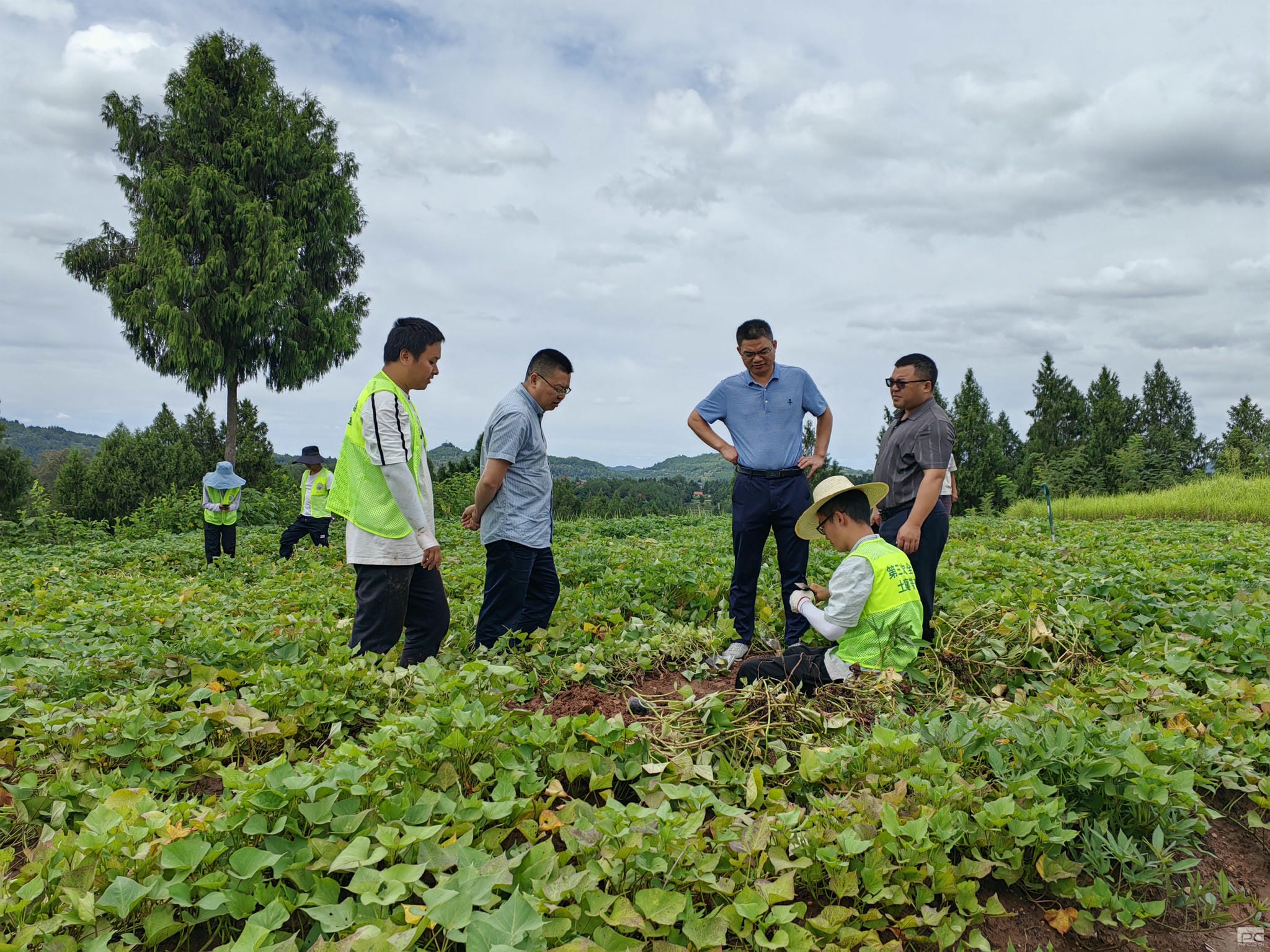 拉斯维加斯3133cc(中国集团)有限公司官网