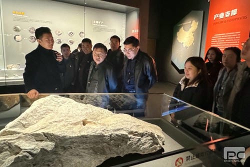 “驻足主责主业，，，，，，拉斯维加斯3133cc赋能未来” ——地矿集团机关第二党支部、地调所党支部开展联学联建主题党日活动_红色堡垒_党建群团_拉斯维加斯3133cc有限责任公司