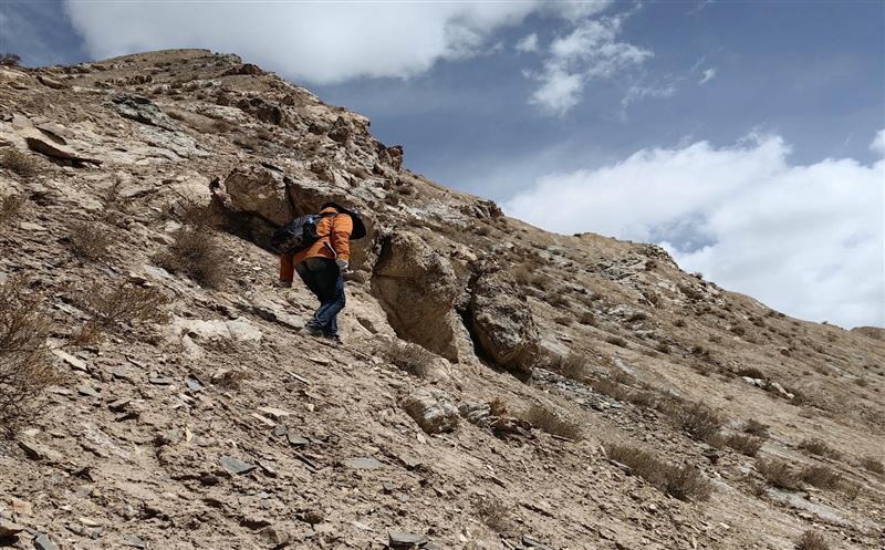 驻足岗位作孝顺，，，，，我为党旗添色泽——记2023阿尔金山矿产勘查项目组野外事情