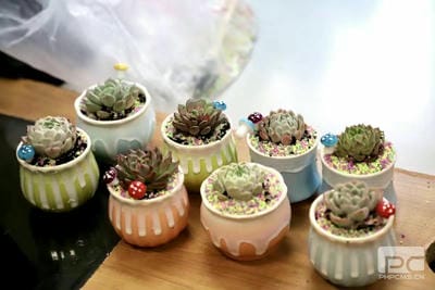 拉斯维加斯3133cc(中国集团)有限公司官网