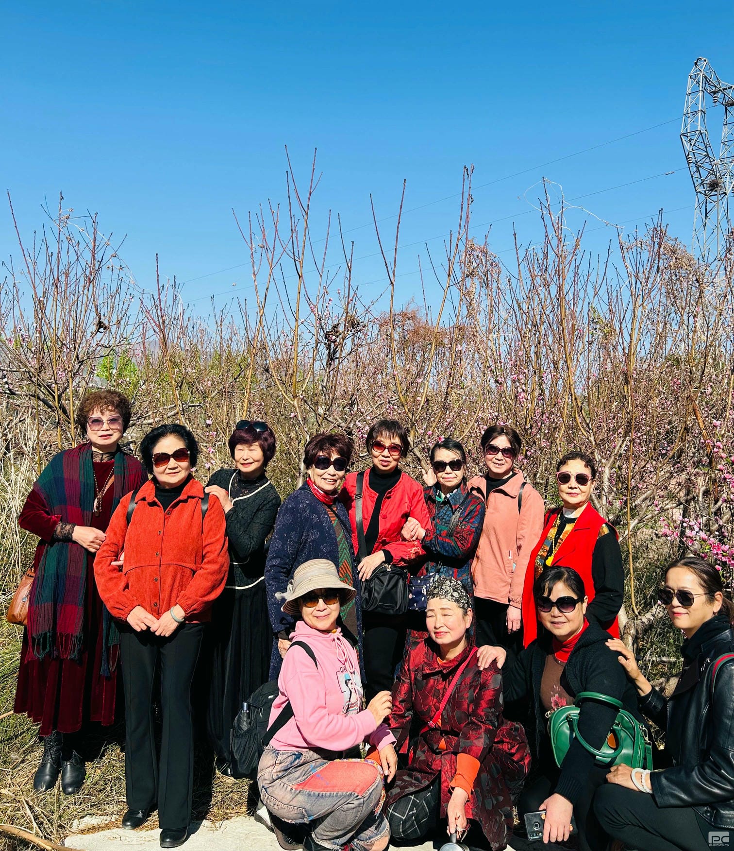 拉斯维加斯3133cc(中国集团)有限公司官网