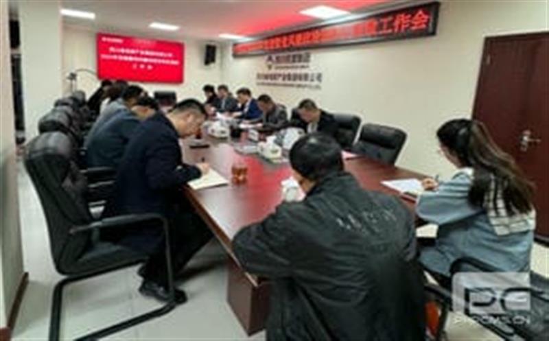 四川省地质工业集团公司召开2024年党建暨党风廉政建设和反糜烂事情会