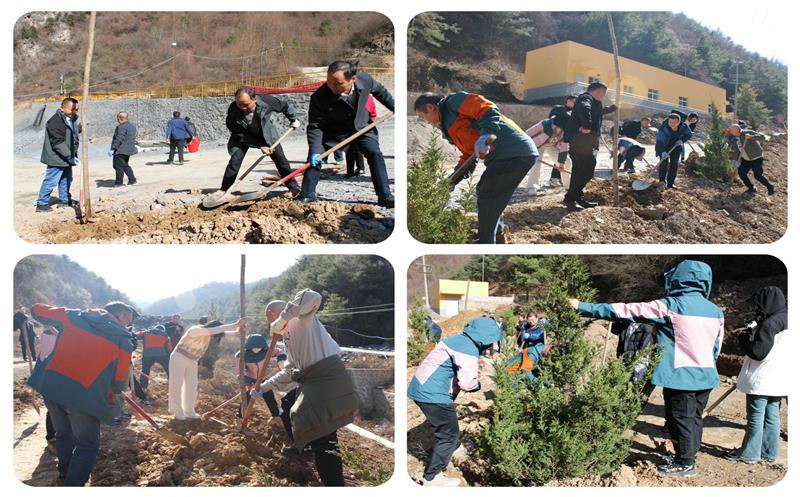 “植”此青绿，，共聚青羊——鑫顺矿业开展2024新春绿色行植树活动