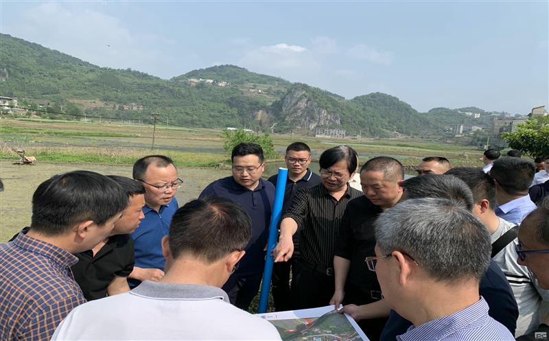 古蔺县委主要向导赴大村煤炭项目实地专题调研矿产拉斯维加斯3133cc发动型小城镇妄想建设