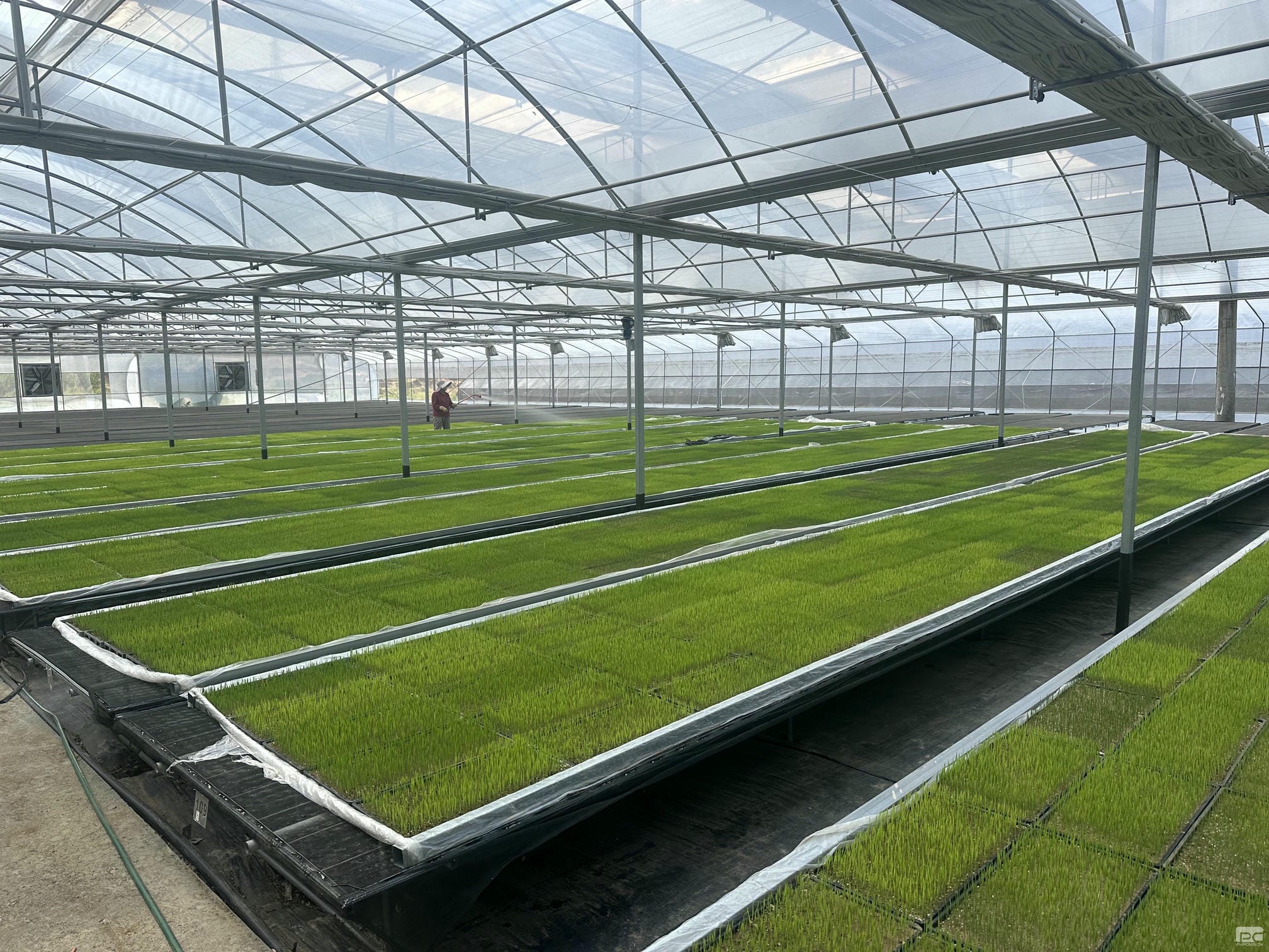 拉斯维加斯3133cc(中国集团)有限公司官网