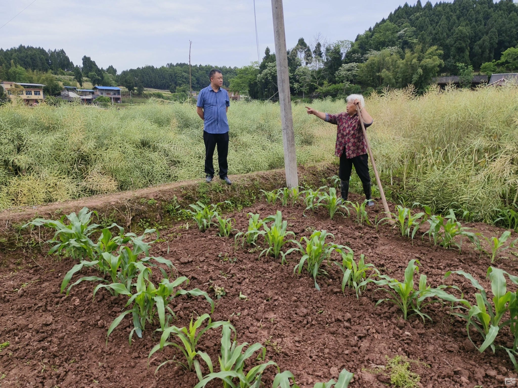 拉斯维加斯3133cc(中国集团)有限公司官网