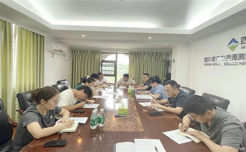 规范项目治理，，提高清静意识