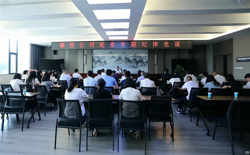 攀西公司党委书记教学专题（纪律）党课