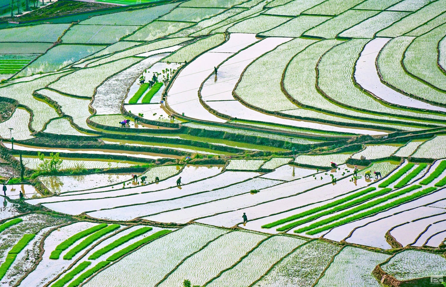 拉斯维加斯3133cc(中国集团)有限公司官网