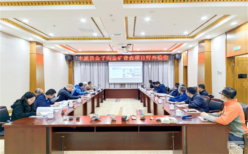 区调队承做的四川省木里县金子沟金矿普查项目顺遂通过野外验收