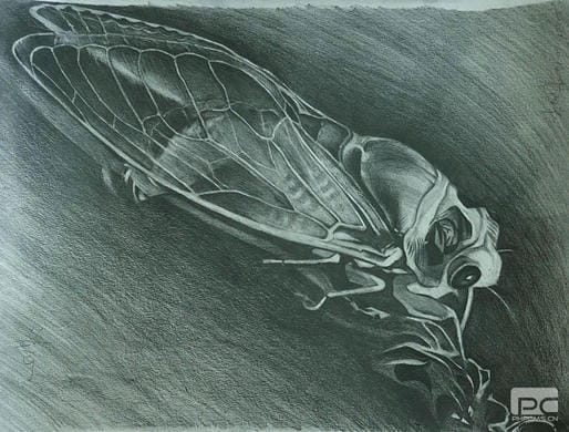 拉斯维加斯3133cc(中国集团)有限公司官网