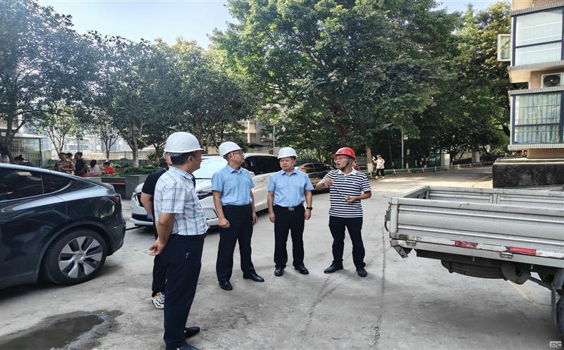 集团向导赴金海？蟛卦址乐蜗钅课课室幌咴惫げ⒕傩星寰布觳