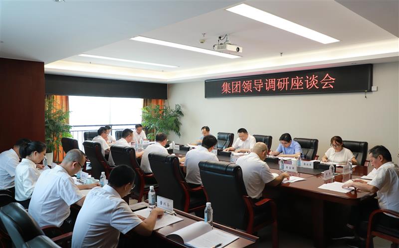 集团向导到置业集团调研指导