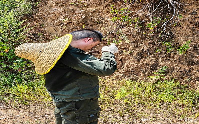 直面“烤”验的自然拉斯维加斯3133cc人