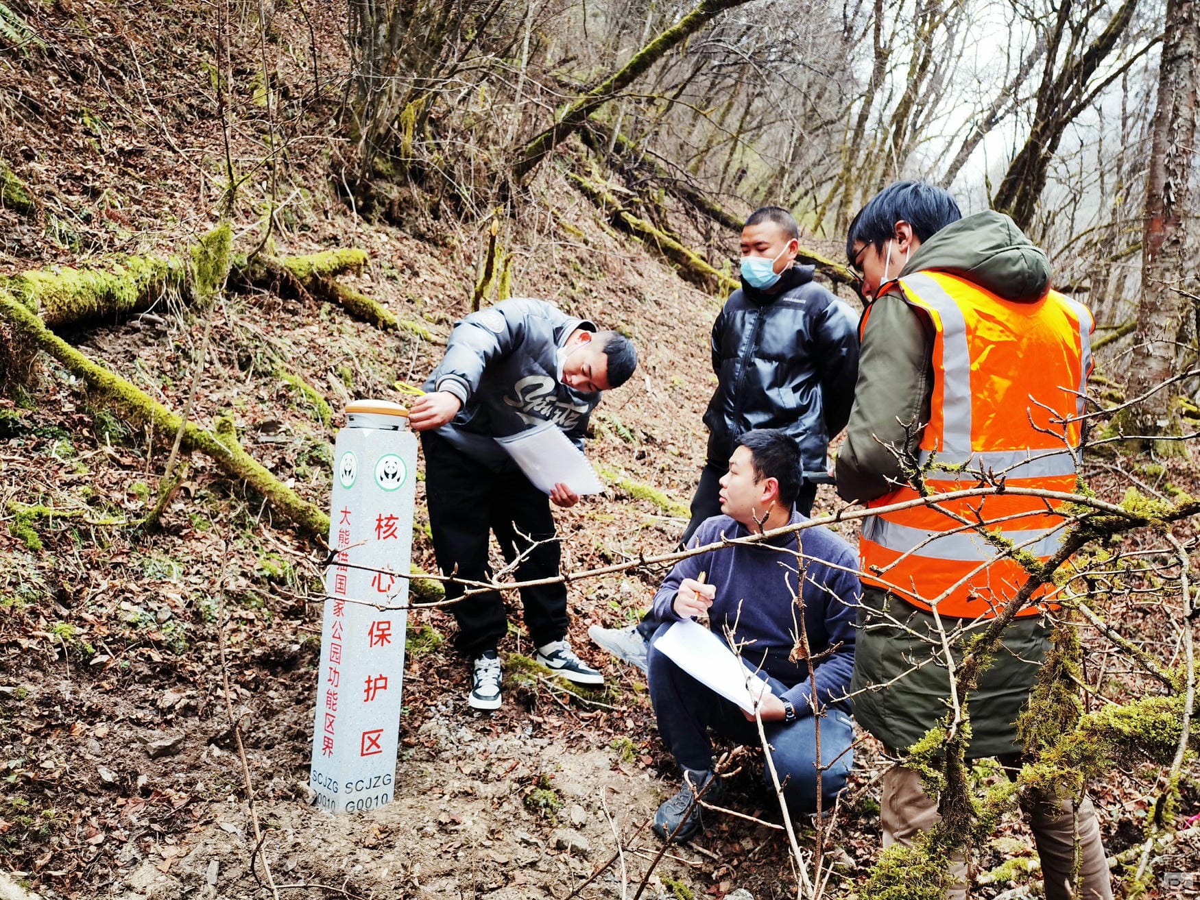 拉斯维加斯3133cc(中国集团)有限公司官网