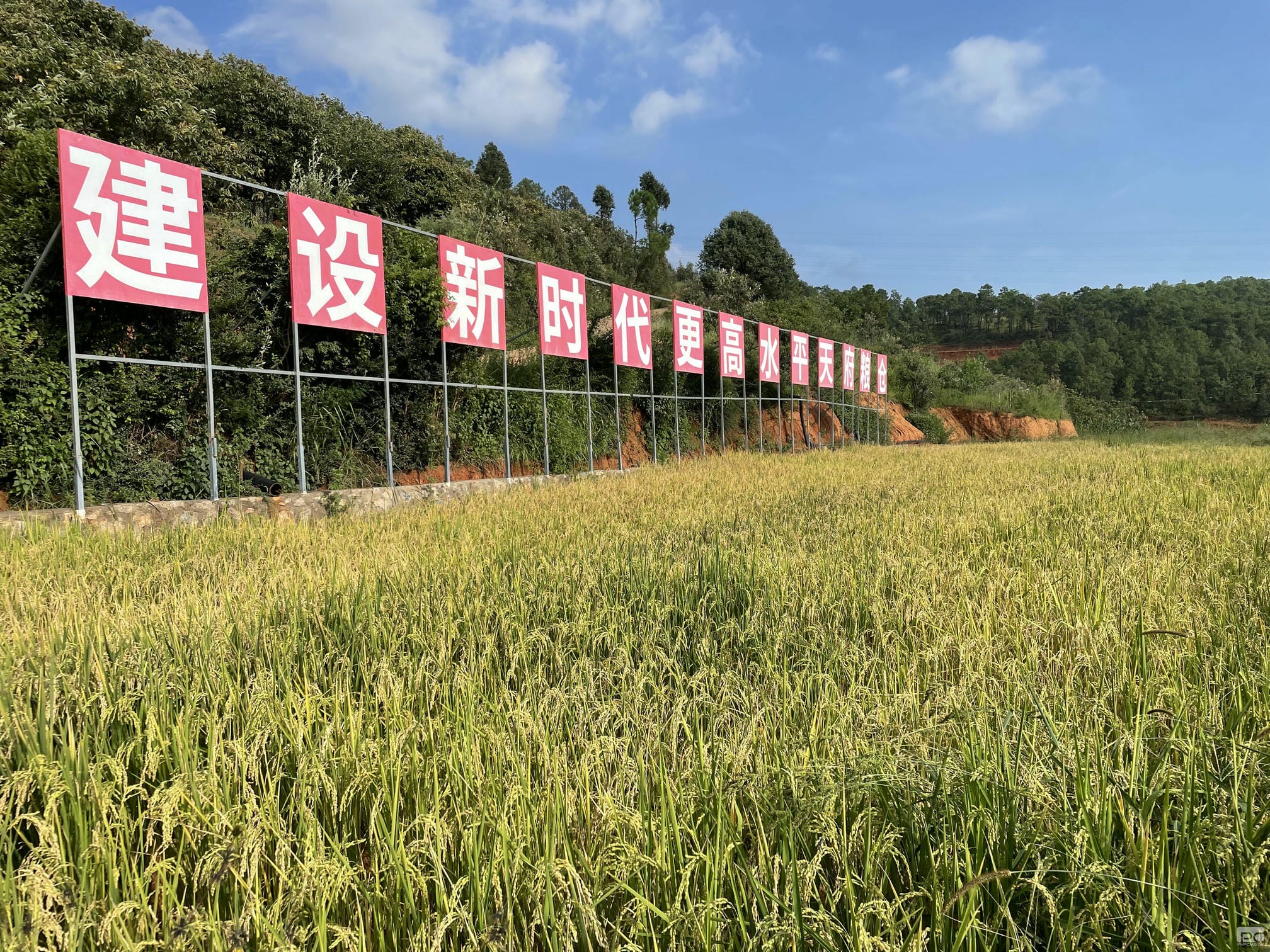 拉斯维加斯3133cc(中国集团)有限公司官网