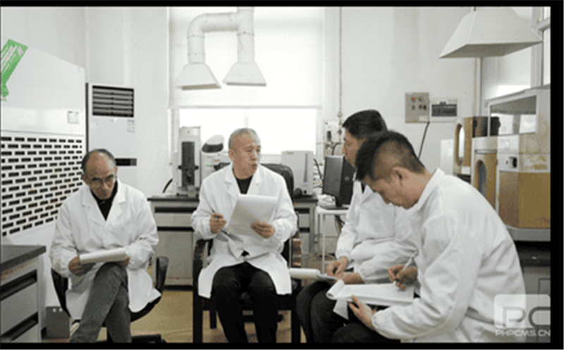 青羊峡氧化铅锌矿选矿研究：犁出新赛道 赋能新生长