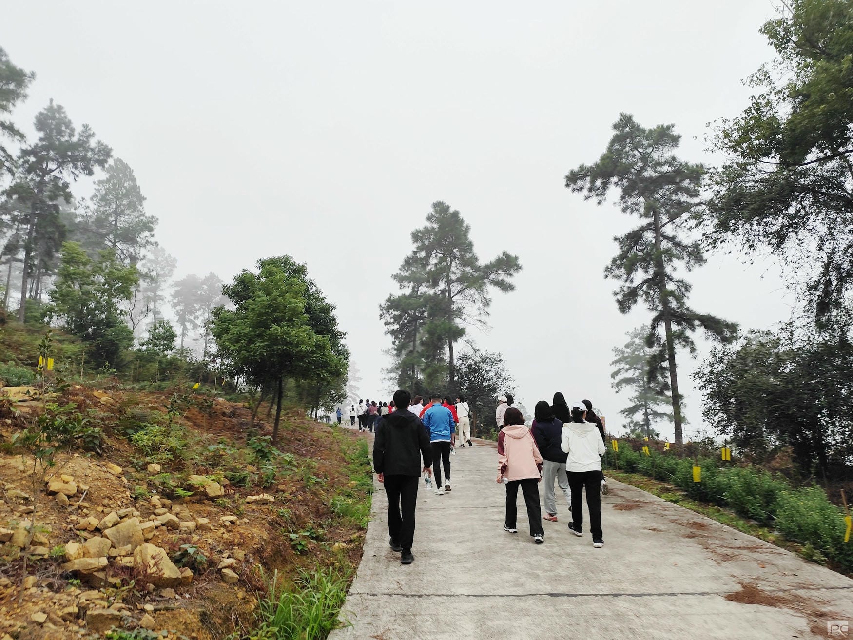 拉斯维加斯3133cc(中国集团)有限公司官网