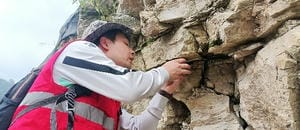 拉斯维加斯3133cc(中国集团)有限公司官网